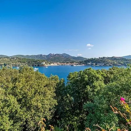 Rosa Naregno Capoliveri (Isola d'Elba)
