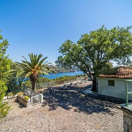 Rosa Naregno Capoliveri (Isola d'Elba)